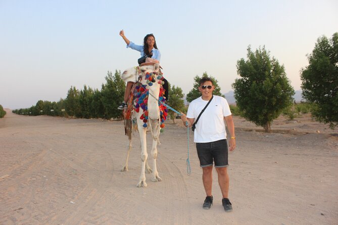 1 Hour horse Ride and Jeep adventure with stargazing -Hurghada - Who should book this Hurghada desert safari