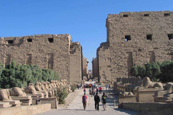 2 Day Trips to Luxor Highlights from Safaga Port - What the guide adds to the experience