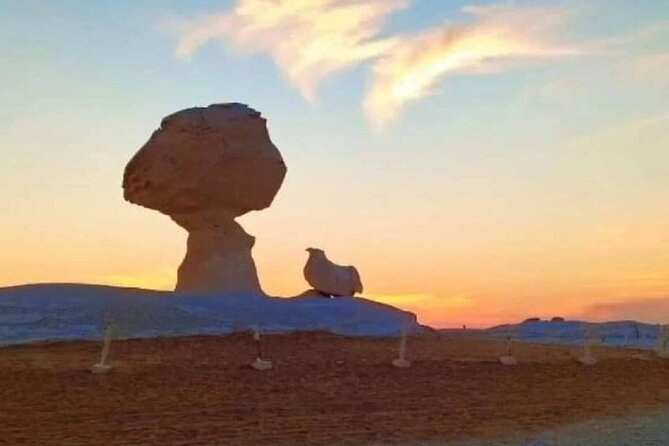2 Days Camping Trip in the White Desert of Cairo - Day 2: A short finish in Bahariya