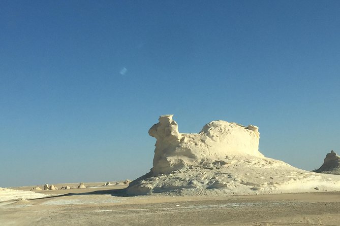 2 Days White Desert And Bahariya Oasis Tour - Why the White Desert makes this trip special
