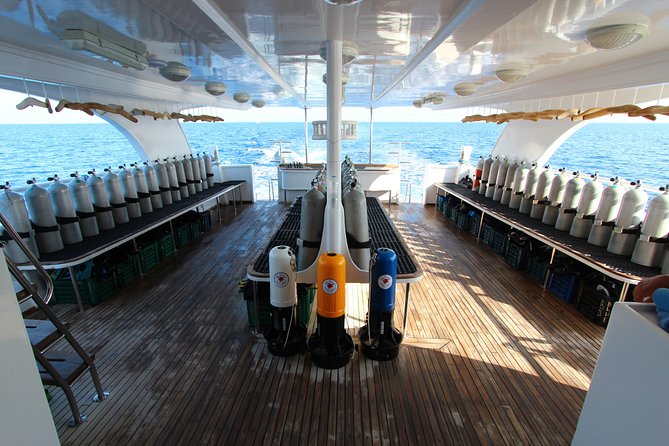 2-Dive adventure-Safe & Top-rated boat for Certified Divers - The second site around 2 pm