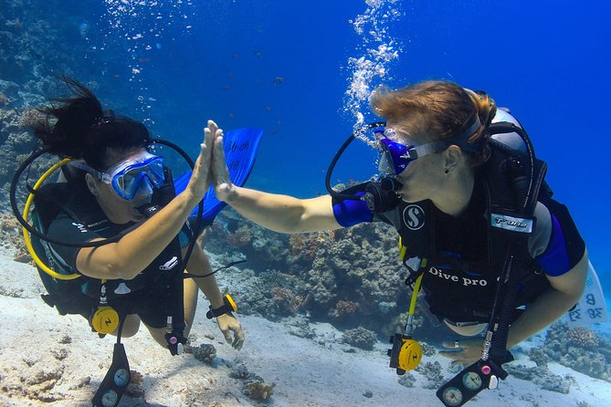 2-Dive adventure-Safe & Top-rated boat for Certified Divers - A boat built for a long day at sea
