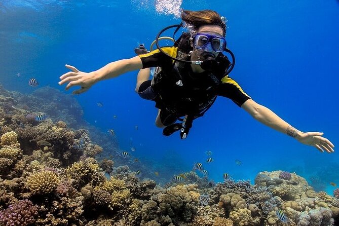 2 Dive Stops Intro Scuba Diving With Lunch & Transfer - Hurghada - Key points to know before booking