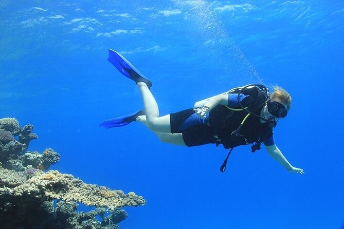 2 Dive Stops Intro Scuba Diving With Lunch & Transfer - Hurghada - Lunch and the break between sessions