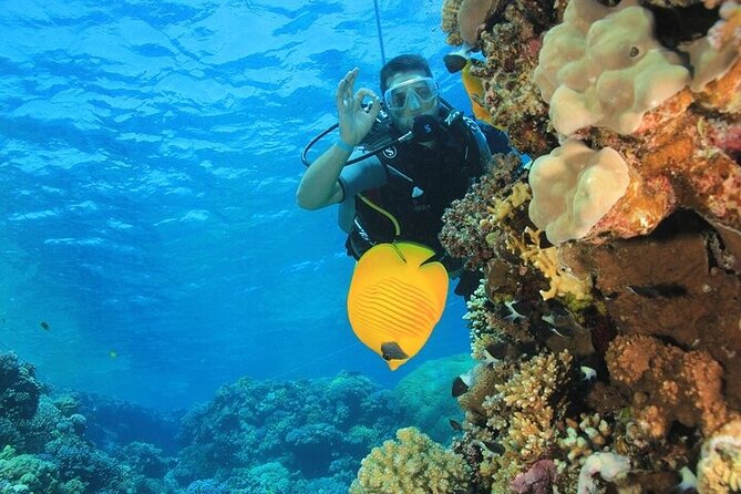 2 Dive Stops Intro Scuba Diving With Lunch & Transfer - Hurghada - What the $21 price really includes