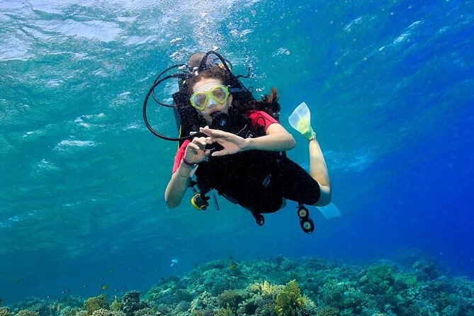 2 Dive Stops Intro Scuba Diving With Lunch & Transfer - Hurghada - Who will get the most from this trip