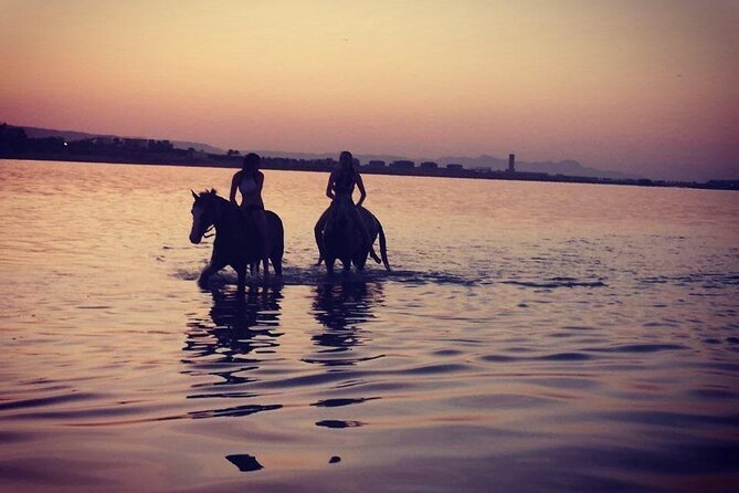 2 hours Horse Riding on The Sea and Desert- Hurghada - From the stable to the Red Sea shore