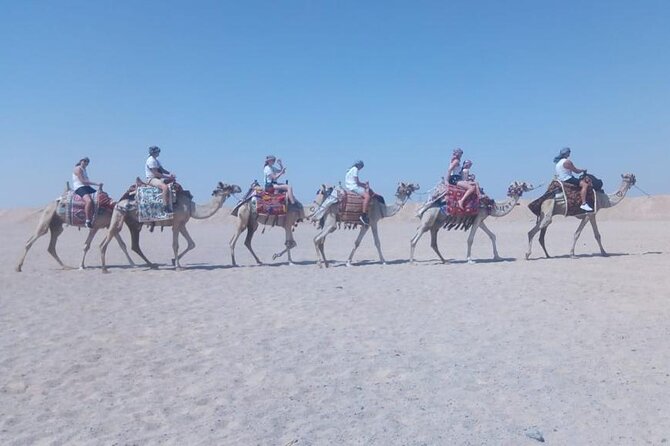 2 hours Horse Riding on The Sea and Desert- Hurghada - The Red Sea section is the star