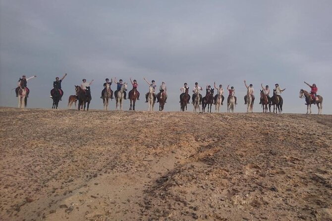 2 hours Horse Riding on The Sea and Desert- Hurghada - Guides, coaching, and group atmosphere