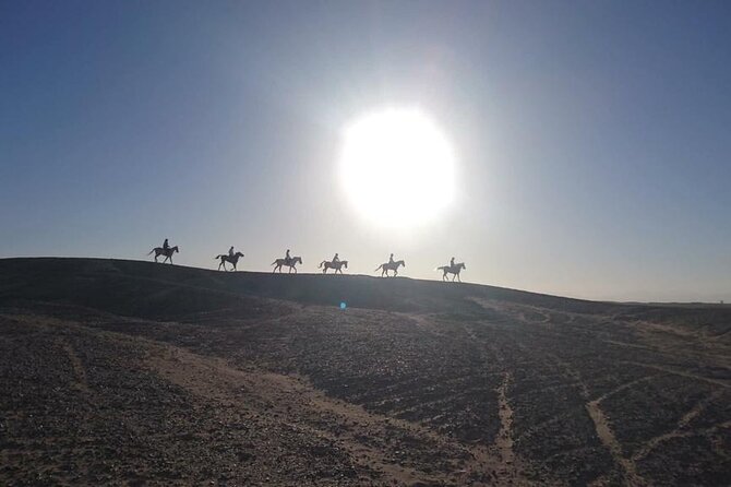 2 hours Horse Riding on The Sea and Desert- Hurghada - Horse riding or camel riding?