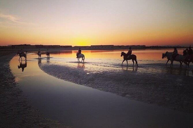 2 hours Horse Riding on The Sea and Desert- Hurghada - What to wear and bring