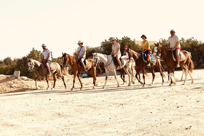 2 hours Horse Riding on The Sea and Desert- Hurghada - What the two-hour ride is really like