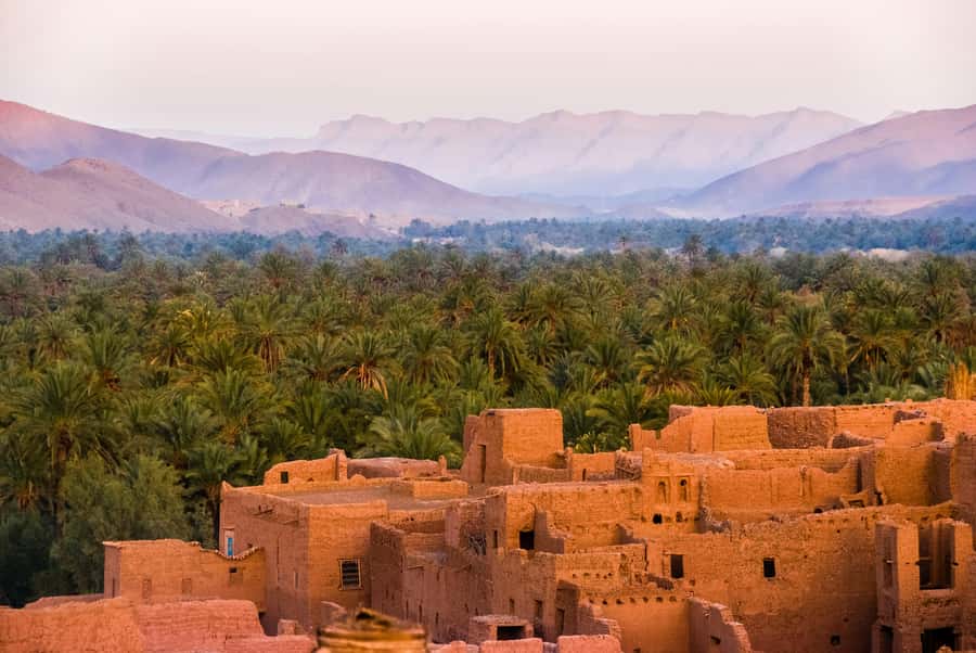 2 Nights 3 Days at Siwa Oases camp from Cairo - Who should book this Siwa trip?