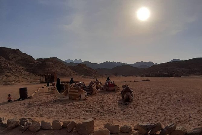 3 Hours Safari by Quad Bike - Hurghada - What the three-hour Hurghada safari is really like