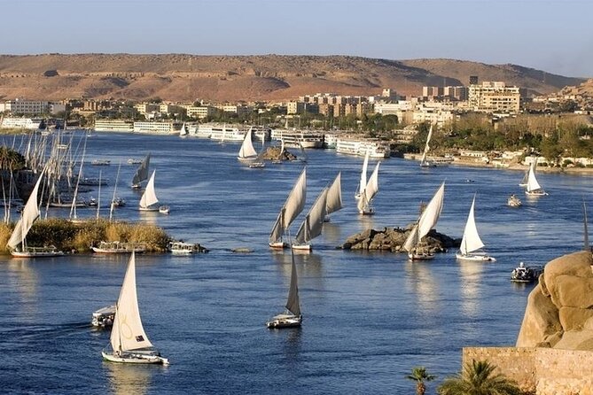 3 Night Nile Cruise from Luxor to Aswan with Sunrise Hot Air Balloon Ride - The guide and transport setup