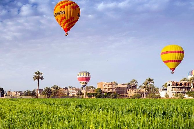3 Nights Cruise Aswan to Luxor including Abu Simbel, Nubian Village&Air Balloon - The guide can shape the whole experience