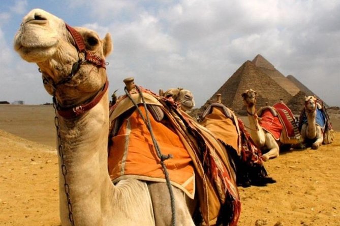 6 Hours visit to Giza pyramids sphinx and Sakkara - Giza Pyramids, Sphinx, and Valley Temple in about three hours