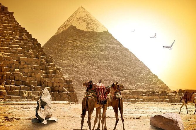 8-Day Private Tour Cairo, Aswan, Luxor and Nile Cruise Including Air Fare - Day three: flying to Aswan and visiting Philae