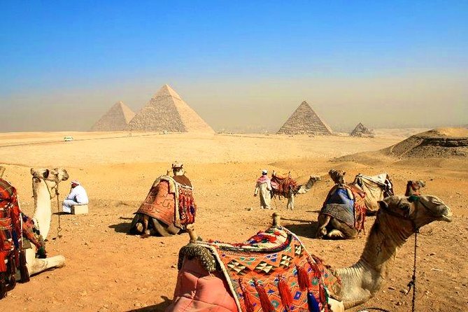 8 Day Stunning Cairo Pyramids and Nile cruise and Hurghada All inclusive - Day 1: A smooth Cairo arrival