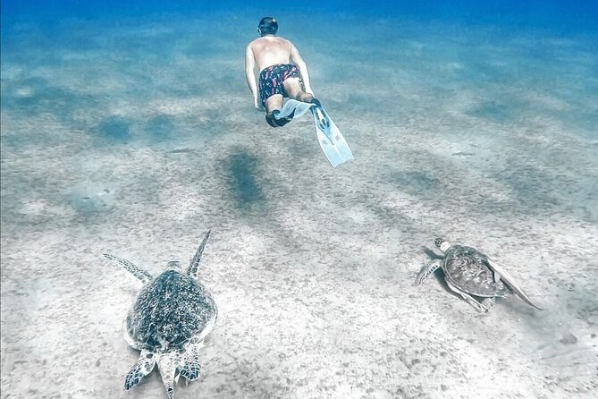 Abu Dabbab Beach Full Day Trip with Turtles - Equipment, drinks, and guide support