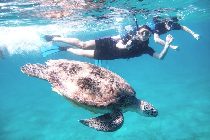 Abu Dabbab Beach Full Day Trip with Turtles - Who will enjoy this Abu Dabbab trip?
