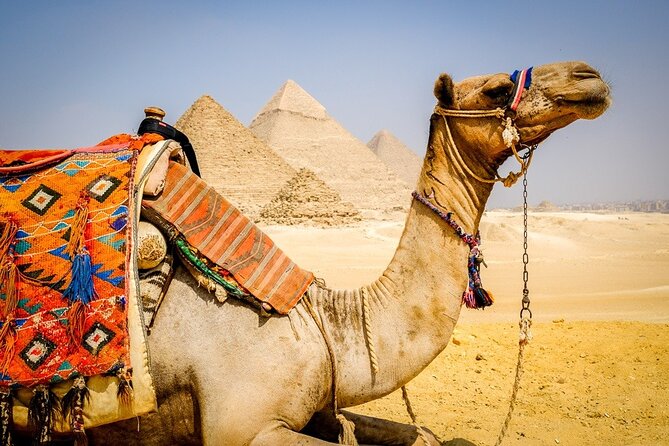 All INC- Pyramids,Camel Ride،(1 hour) four wheeler (ATV)& Lunch - The panorama viewpoint and the best photographs