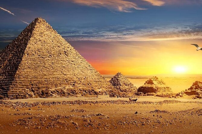 All Inclusive Day Tour To Cairo from Alexandria Port - Guides who can shape the day