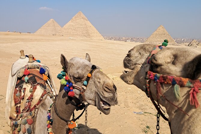 All-inclusive Saqqara, Giza pyramids,lunch,fees,30 min camel ride - Key points to know before booking