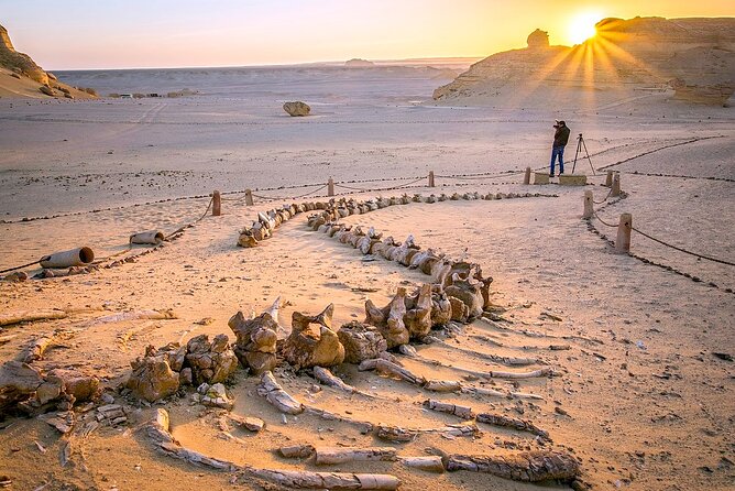 Allinclusive Private Tour Fayoum Oasis & Valley of Wales - Leaving Cairo for Fayoum’s lakes and desert