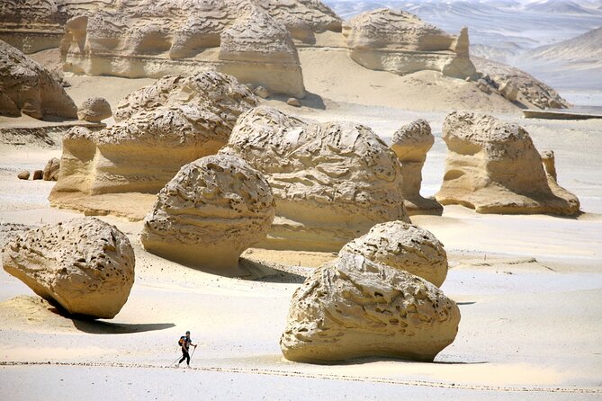 Allinclusive Private Tour Fayoum Oasis & Valley of Wales - Magic Lake and Mudawara Mountain