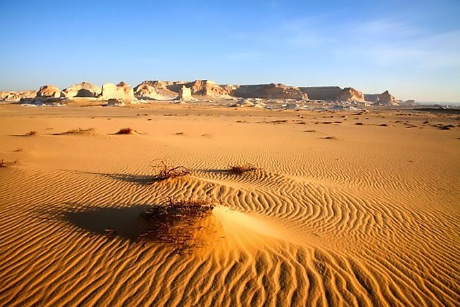 Allinclusive Private Tour Fayoum Oasis & Valley of Wales - The important Wadi Hitan question