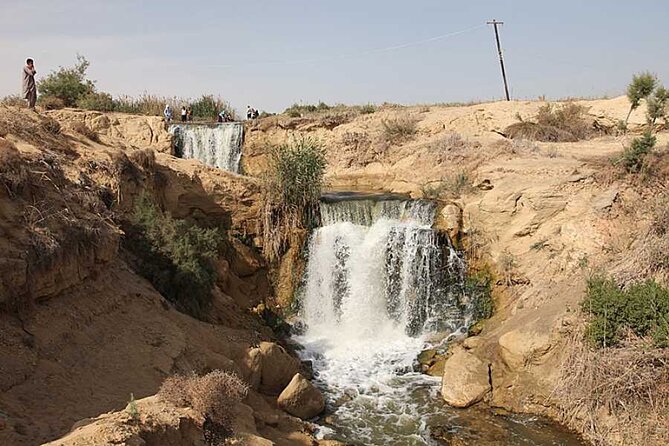 Allinclusive Private Tour Fayoum Oasis & Valley of Wales - Lake Qarun, Fayoum’s old water world