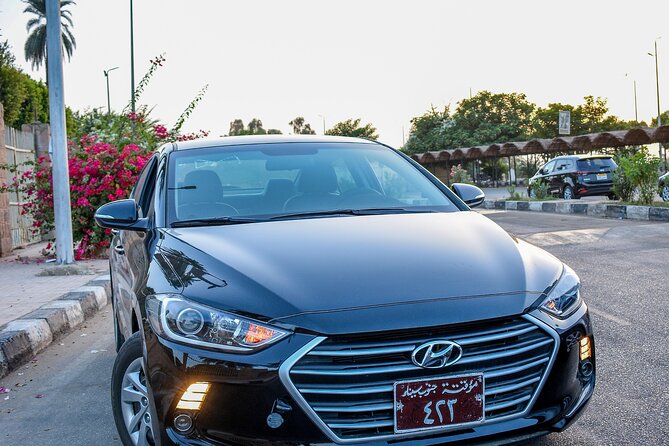 Aswan Airport Transfer To Hotel - Who should book this Aswan airport transfer