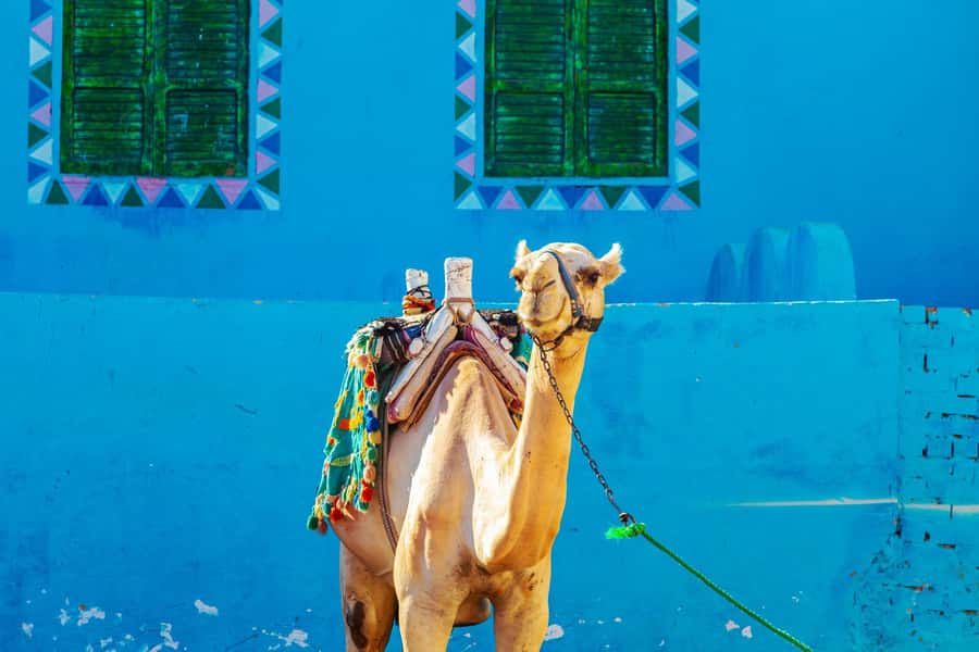 Aswan: Nubian Village Day Trip with Camel Ride - The motorboat ride is part of the outing