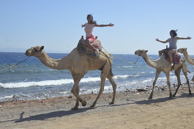 Blue Hole and Dahab City from Sharm El Sheikh - From Sharm El Sheikh into the Sinai desert