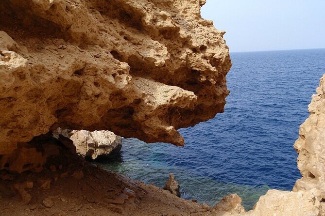 Bus Tour to Ras Mohamed from Sharm El Sheikh - Mangroves at Ras Mohammed