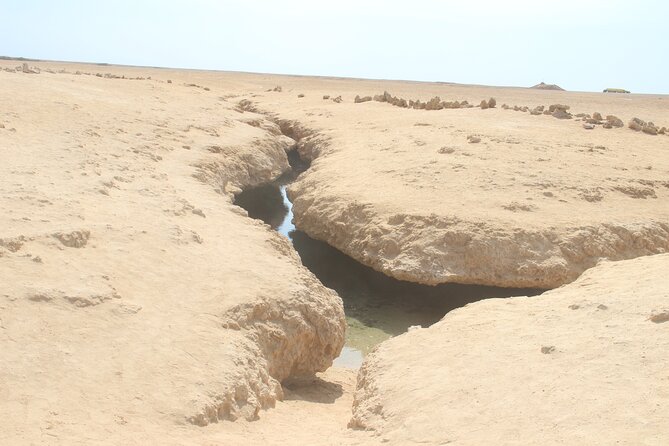 Bus Tour to Ras Mohamed from Sharm El Sheikh - What the $15 price really covers