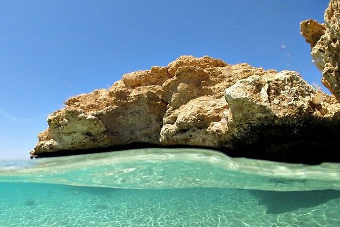 Bus Tour to Ras Mohamed from Sharm El Sheikh - Coral and fish beneath the Red Sea