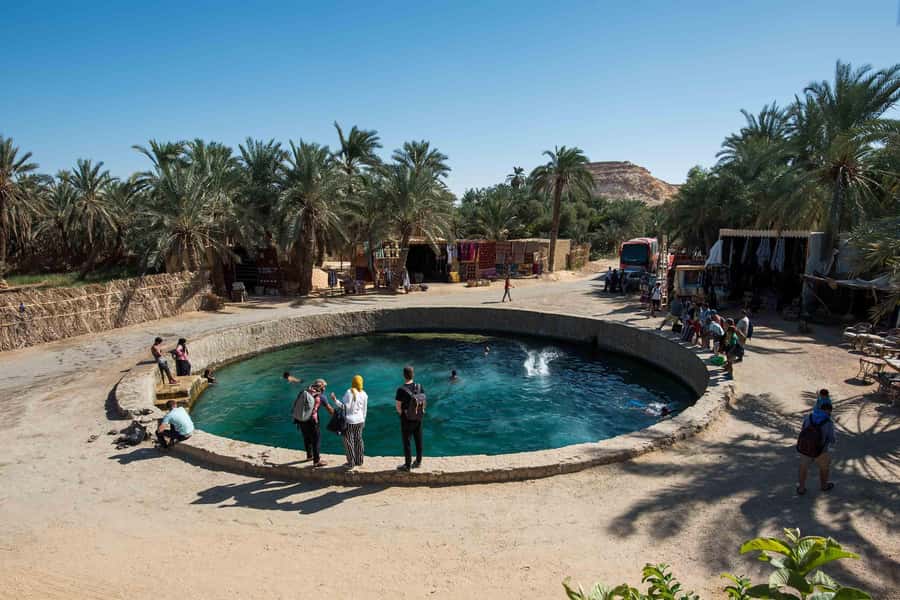 Cairo: 3-Day Siwa Oasis Tour, Safari, Camp & Historical Site - What makes this Siwa trip worth the road