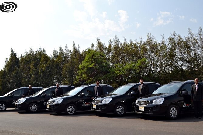 Cairo Airport Private Arrival/Departure Transfer to any address/hotel in Cairo - Meeting your driver after landing at Cairo Airport