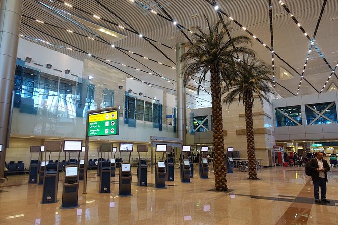 Cairo Airport Private Arrival Transfer - What happens after you leave the plane