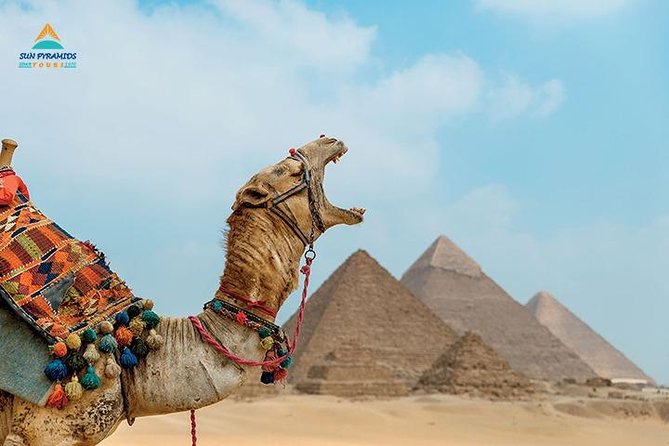 Cairo and Nile Cruise Tour - Key points to know before booking