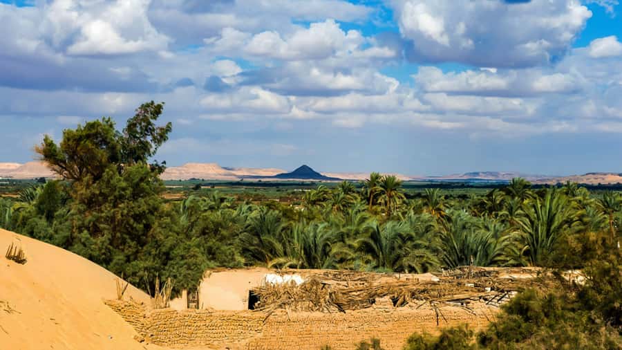 Cairo: Bahariya Oasis & White Desert 3-Day Private Adventure - Should you book it?