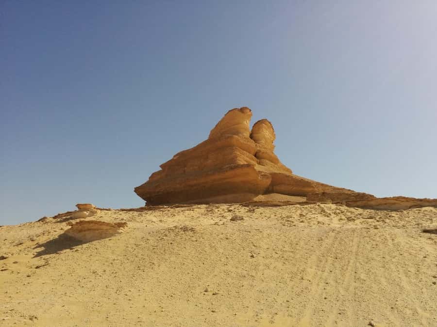 Cairo: Bahariya Oasis & White Desert A Private Day Adventure - What the private format really adds