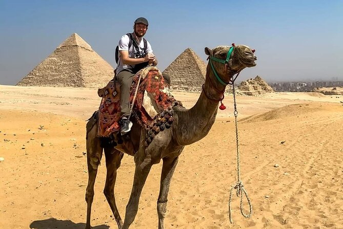 Cairo By Big Bus full day From Hurghada (Pyramids-sphinx-Egyptian Museum-Lunch) - Meeting the Great Sphinx