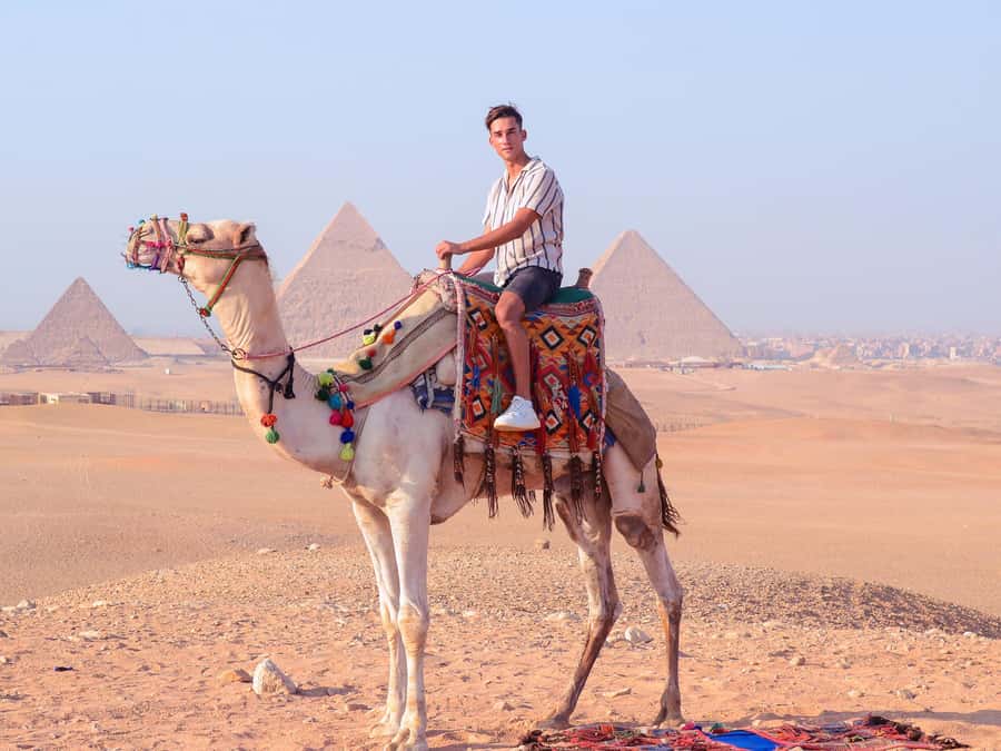 Cairo: Camel Ride Around The Pyramids with Hotel Pickup - Is $40 good value?