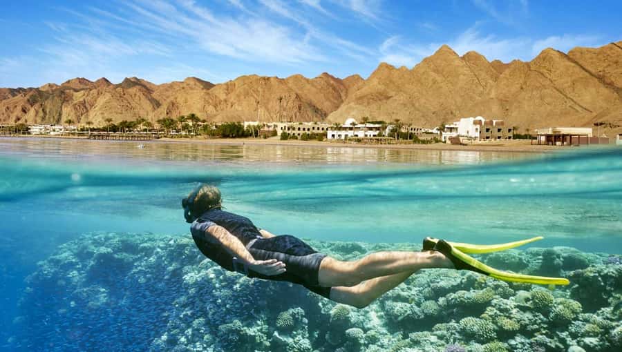 Cairo: Day Tour to the Red Sea with Lunch - Key points at a glance