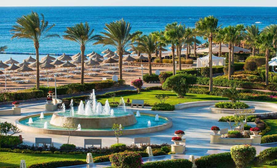 Cairo: Day Tour to the Red Sea with Lunch - Arriving at Ain Sokhna and the beachfront hotel