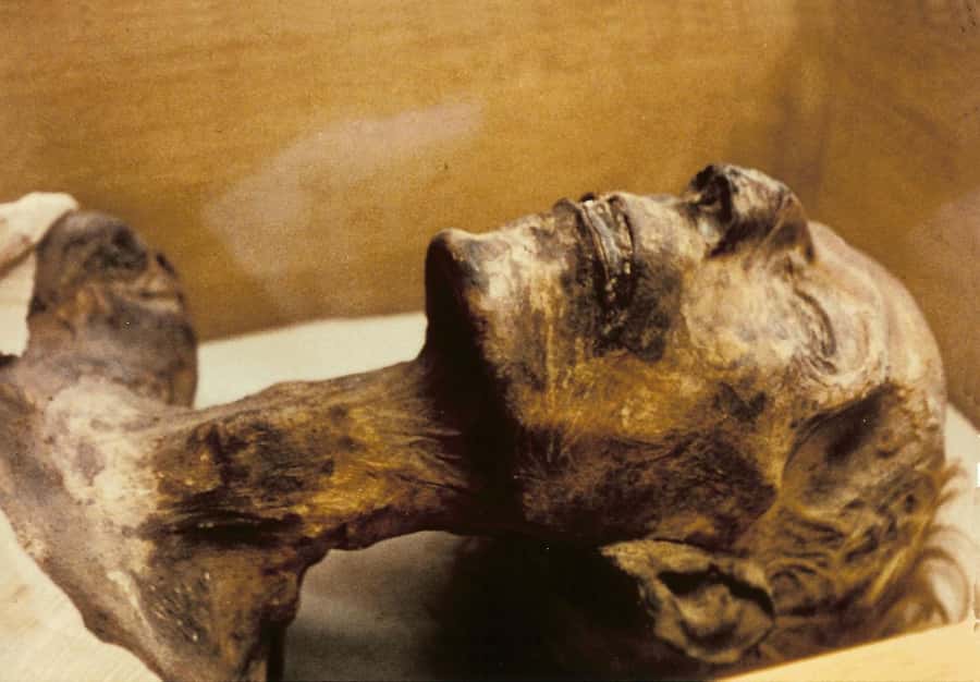 Cairo: Egyptian Museum 4-Hour Private Tour with Transfer - Why the four-hour schedule works