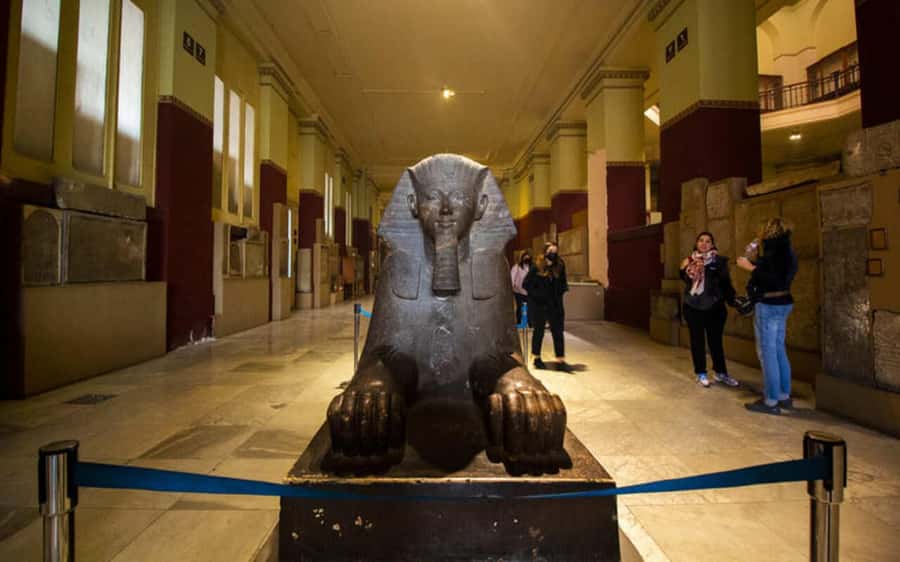 Cairo: Egyptian Museum Private Half Day Guided Tour - How the half-day pace works
